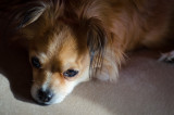 Oliver_Gaston-148.jpg