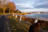Cino at the pleasant bend in the Road November 21 2012_.jpg