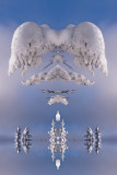 Terrazzo - Winter Angel - 32x48.jpg