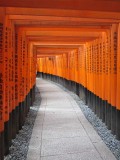 Endless <i>torii</i> gates at the Fushimi Inari Shrine
