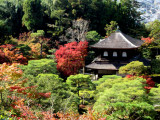 Shrine garden