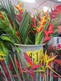 Tropical flowers for sale at Rustys Market