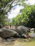 Mossman Gorge