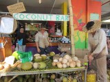 Coconuts! Rustys Market, Cairns