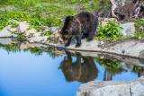 DSC_2628_1.jpg