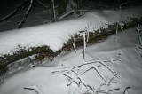 Nighttime Snow Scene Appalachian Ridge tb1212bar.jpg
