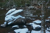 Birch Tree with Large Snow Covered Stones tb0213bqr.jpg