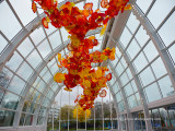 Chihuly House of Glass Interiors-12-2.jpg