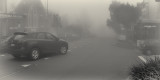 foggy katoomba w.jpg