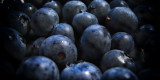 blueberries w.jpg