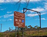 Sydbust 04w.jpg