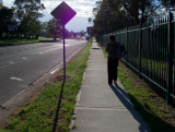 SB806w.jpg