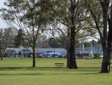 SB815w.jpg