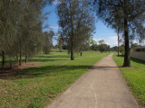 SB916w.jpg