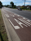 SB1121w.jpg