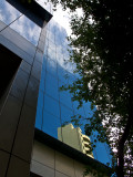 SB1206W.jpg