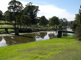 SB1227W.jpg