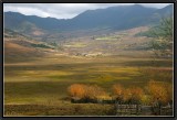 The Valley of Phobjika.