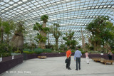 Inside Flower Dome