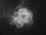 Rosette Nebula in Ha