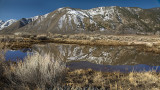 Carson Valley Reflections