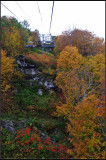 IMGP1236_1.jpg