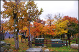 IMGP1269_1.jpg