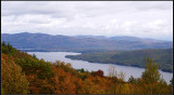 IMGP1590_1.jpg