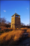 IMGP2159_1.jpg