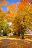 IMGP6450_1.jpg