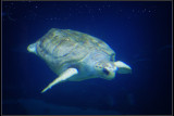 IMGP2425_1.jpg