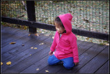 IMGP2046_1.jpg