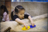 IMGP2461_1.jpg