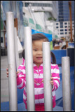 IMGP8115_1.jpg