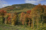 zwNNEW_DSC4972_TOP3.5_Region_de_Stoneham_Reserve-Faunique_Qc_Can.jpg