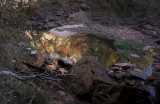 Pool reflects the autumn colors