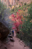 Rose-colored hiking trail