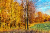 Autumn Landscape At Sunrise 29955