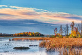 Autumn Swale At Sunrise 28987