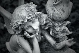 Nymph 20121111