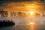 Foggy Rideau Canal Sunrise 31817