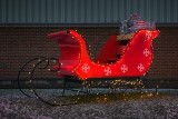 Holiday Lights That Sleigh Me 32186-7