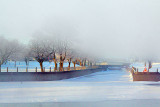 Canal Under Fog 33604