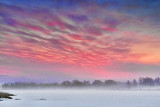 Foggy Rideau Canal Sunrise 20130226