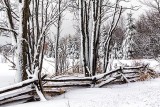 Snowscape 33925