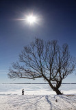 Frozen Lake Ontario 34049,51