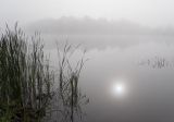 Morning Fog 40354
