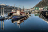morning light--6.jpg