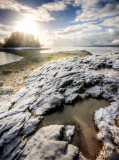 sunny january--3.jpg