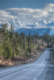 Sunny north douglas--5.jpg
